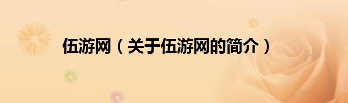 伍游網(wǎng)（關(guān)于伍游網(wǎng)的簡介）