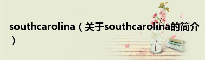 southcarolina（關于southcarolina的簡介）