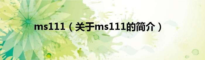 ms111（關(guān)于ms111的簡介）