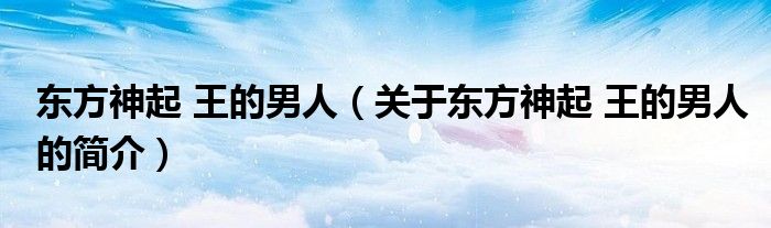 東方神起 王的男人（關(guān)于東方神起 王的男人的簡(jiǎn)介）