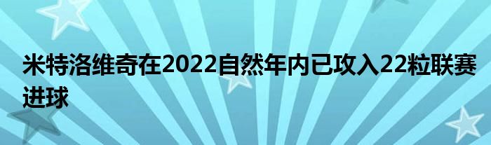 米特洛維奇在2022自然年內(nèi)已攻入22粒聯(lián)賽進(jìn)球