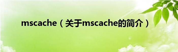 mscache（關(guān)于mscache的簡介）