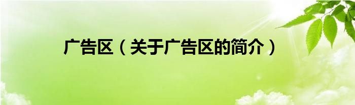 廣告區(qū)（關(guān)于廣告區(qū)的簡介）