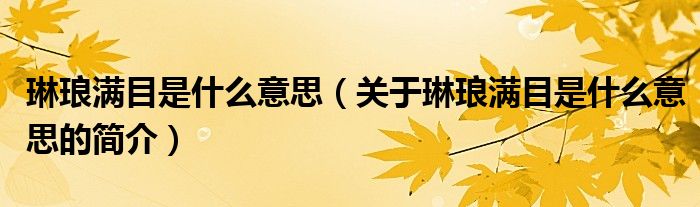 琳瑯滿目是什么意思（關(guān)于琳瑯滿目是什么意思的簡介）