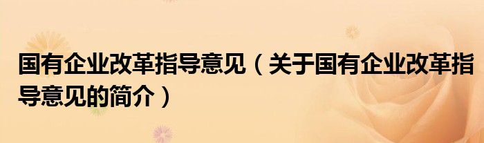 國有企業(yè)改革指導意見（關于國有企業(yè)改革指導意見的簡介）