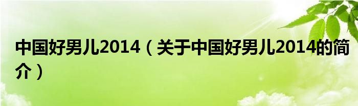 中國好男兒2014（關(guān)于中國好男兒2014的簡介）