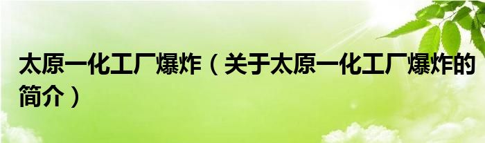 太原一化工廠爆炸（關(guān)于太原一化工廠爆炸的簡介）