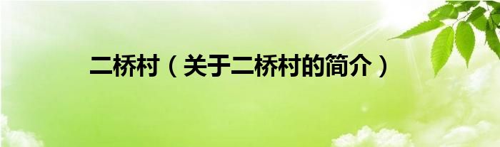 二橋村（關(guān)于二橋村的簡介）