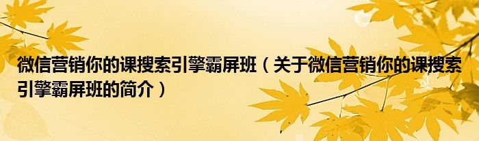 微信營銷你的課搜索引擎霸屏班（關(guān)于微信營銷你的課搜索引擎霸屏班的簡介）