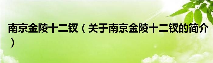 南京金陵十二釵（關(guān)于南京金陵十二釵的簡介）