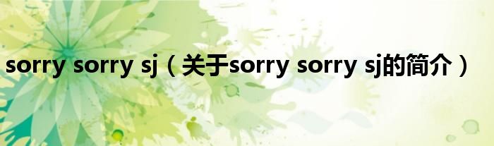 sorry sorry sj（關(guān)于sorry sorry sj的簡(jiǎn)介）