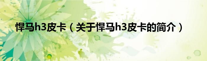 悍馬h3皮卡（關(guān)于悍馬h3皮卡的簡(jiǎn)介）