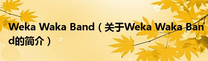 Weka Waka Band（關于Weka Waka Band的簡介）