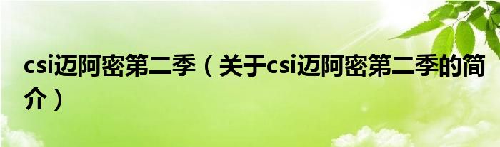 csi邁阿密第二季（關(guān)于csi邁阿密第二季的簡(jiǎn)介）