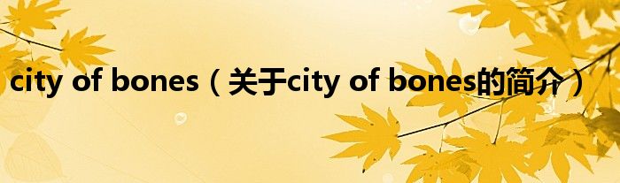 city of bones（關(guān)于city of bones的簡(jiǎn)介）