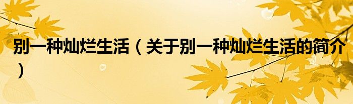 別一種燦爛生活（關(guān)于別一種燦爛生活的簡介）