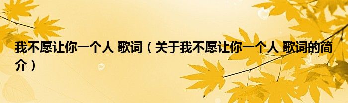 我不愿讓你一個(gè)人 歌詞（關(guān)于我不愿讓你一個(gè)人 歌詞的簡介）