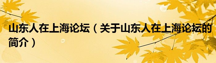 山東人在上海論壇（關(guān)于山東人在上海論壇的簡(jiǎn)介）