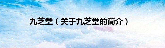 九芝堂（關(guān)于九芝堂的簡(jiǎn)介）