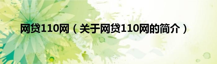 網(wǎng)貸110網(wǎng)（關(guān)于網(wǎng)貸110網(wǎng)的簡介）