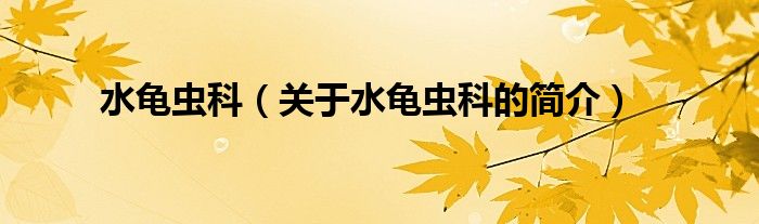 水龜蟲(chóng)科（關(guān)于水龜蟲(chóng)科的簡(jiǎn)介）