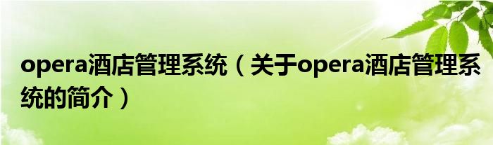 opera酒店管理系統(tǒng)（關(guān)于opera酒店管理系統(tǒng)的簡介）