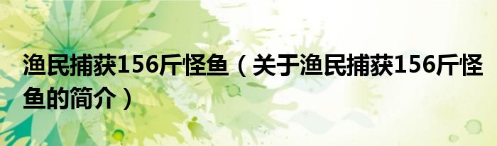 漁民捕獲156斤怪魚（關于漁民捕獲156斤怪魚的簡介）