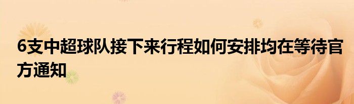 6支中超球隊接下來行程如何安排均在等待官方通知