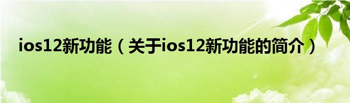 ios12新功能（關(guān)于ios12新功能的簡介）