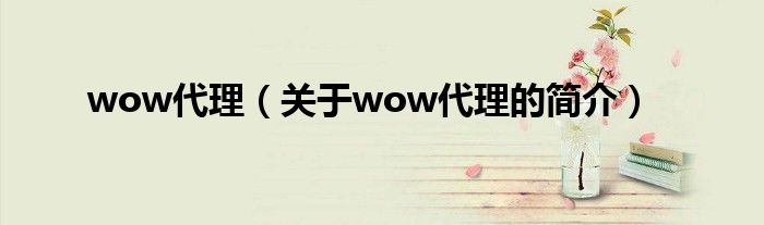 wow代理（關(guān)于wow代理的簡(jiǎn)介）