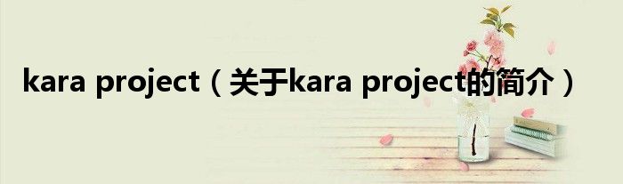 kara project（關(guān)于kara project的簡介）