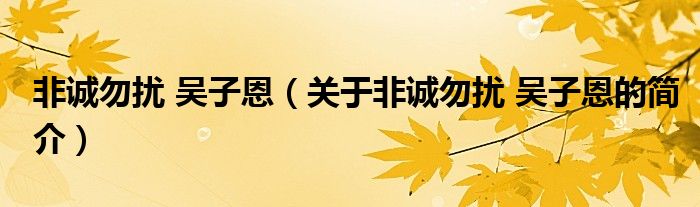 非誠勿擾 吳子恩（關(guān)于非誠勿擾 吳子恩的簡介）