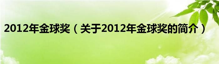 2012年金球獎（關(guān)于2012年金球獎的簡介）