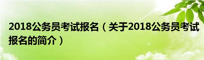 2018公務員考試報名（關于2018公務員考試報名的簡介）