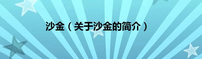 沙金（關(guān)于沙金的簡(jiǎn)介）