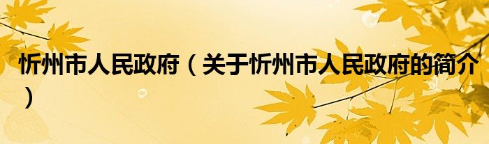 忻州市人民政府（關(guān)于忻州市人民政府的簡介）