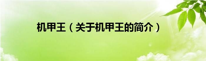 機(jī)甲王（關(guān)于機(jī)甲王的簡(jiǎn)介）