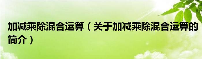 加減乘除混合運算（關(guān)于加減乘除混合運算的簡介）