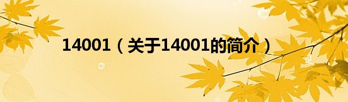 14001（關(guān)于14001的簡(jiǎn)介）