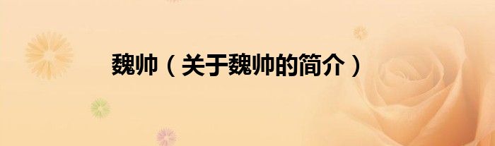 魏帥（關(guān)于魏帥的簡(jiǎn)介）