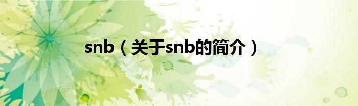 snb（關于snb的簡介）