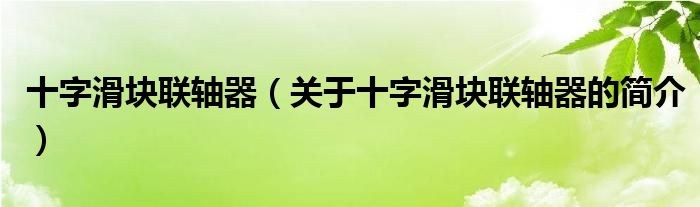 十字滑塊聯(lián)軸器（關于十字滑塊聯(lián)軸器的簡介）