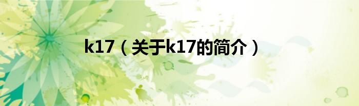 k17（關于k17的簡介）