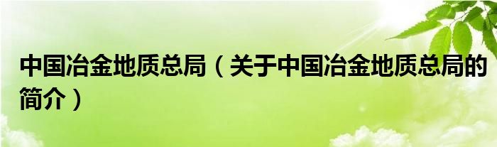 中國冶金地質(zhì)總局（關于中國冶金地質(zhì)總局的簡介）