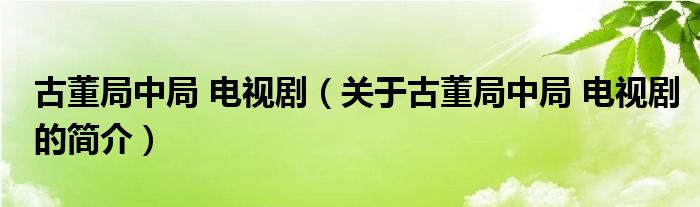 古董局中局 電視?。P(guān)于古董局中局 電視劇的簡(jiǎn)介）