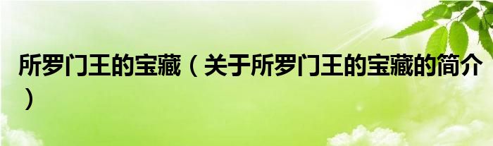 所羅門王的寶藏（關(guān)于所羅門王的寶藏的簡介）