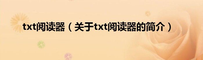 txt閱讀器（關(guān)于txt閱讀器的簡介）