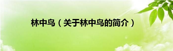 林中鳥（關(guān)于林中鳥的簡(jiǎn)介）