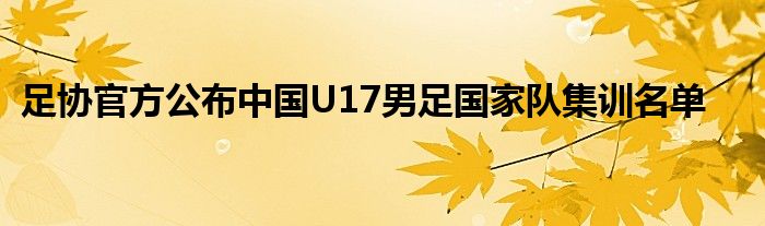 足協(xié)官方公布中國U17男足國家隊(duì)集訓(xùn)名單