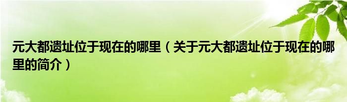 元大都遺址位于現(xiàn)在的哪里（關于元大都遺址位于現(xiàn)在的哪里的簡介）